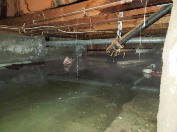 Best Emergency water damage restoration  in Matheny, CA