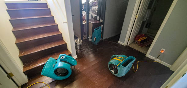 Best Local water damage restoration  in Matheny, CA