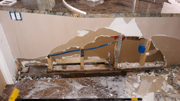 Best Water damage restoration insurance claims  in Matheny, CA