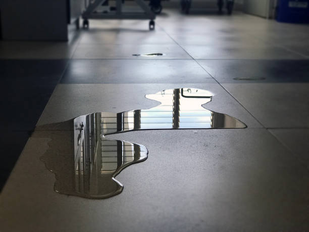Best Water damage repair service  in Matheny, CA